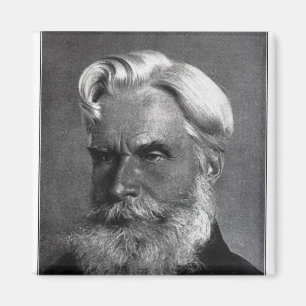 Havelock Ellis Magneet