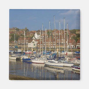 Haven, Whitby, North Yorkshire, Engeland Magneet