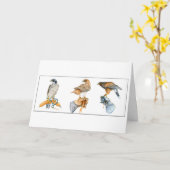 Havendagkaart voor Hawking Studies Kaart (Gele Bloem)