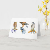 Havendagkaart voor Hawking Studies Kaart (Gele Bloem)