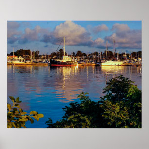 Havenreflectie Poster