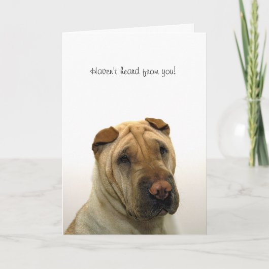 Haven't heard from you kaart (Voorkant)