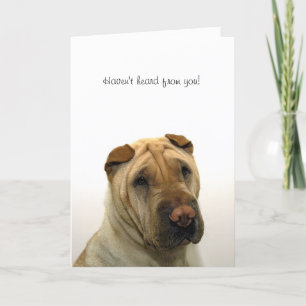 Haven't heard from you kaart