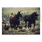 Haventijd (Voorkant Horizontaal)