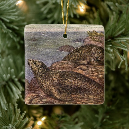 havenzegels, zeedieren voor het leven in de zee keramisch ornament (Boom)