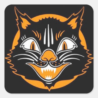 havercat-stickers vierkante sticker