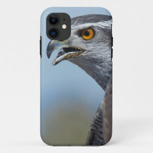 Havik schreeuwt iPhone 11 hoesje