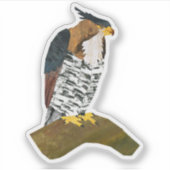  havikarend sticker (Voorkant)