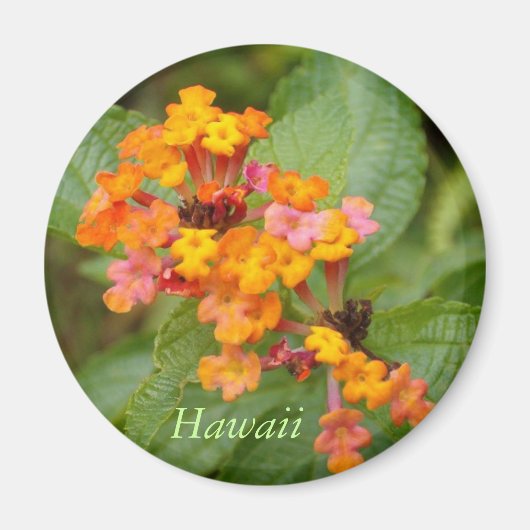 Hawaï Flower Magneet (Voorkant)