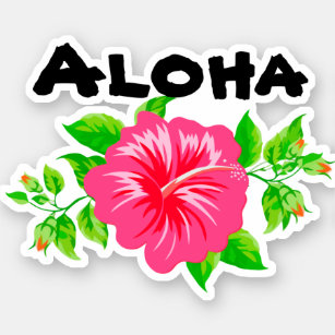 Hawaï Style Hello Sticker