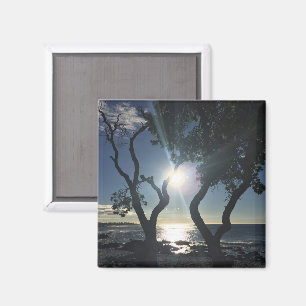 Hawaï Zonnige Bomen Oceaan Oever Kleurenfotografie Magneet