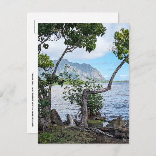 Hawaïaans Briefkaart (Voorkant / Achterkant)