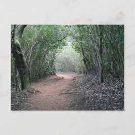 Hawaïaans Briefkaart