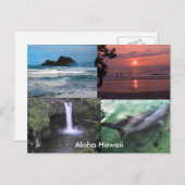 Hawaïaans Collectie Briefkaart (Voorkant / Achterkant)