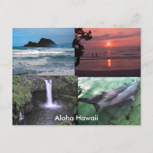 Hawaïaans Collectie Briefkaart