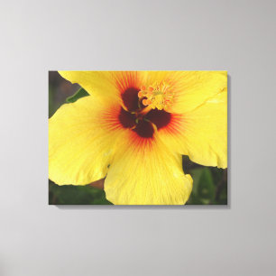 Hawaïaans Hibiscus Flower Wrapped Canvas Print