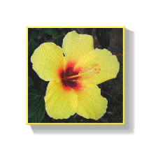 Hawaïaans Hula Meisje Hibiscus Canvasprint