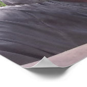 HAWAIAANS OERWOUD POSTER (Hoek)