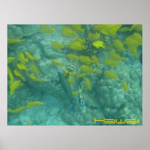 Hawaïaans tropisch poster