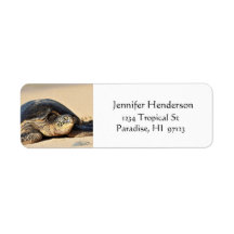 Hawaïaans Zee Schildpad Adresetiketten