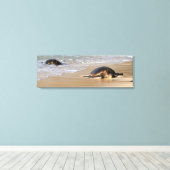 Hawaïaans Zee Schildpad op Strand Canvas Print (Insitu (Houten vloer))