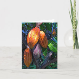 Hawaïaanse cacao kaart