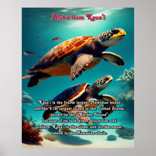 Hawaïaanse eilanden Kauai Aloha Poster