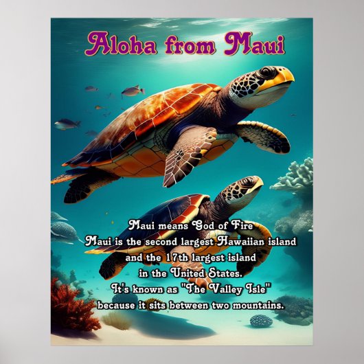 Hawaïaanse eilanden Maui Aloha Poster (Voorkant)