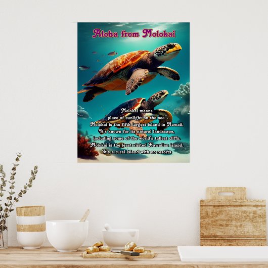 Hawaïaanse eilanden Molokai Aloha Poster (Keuken)
