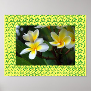 Hawaiaanse Frangipani Zalige Bloemen Plumerias Poster