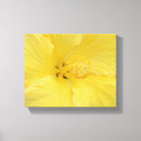 Hawaiaanse Gele Hibiscus Fijne Kunst Foto