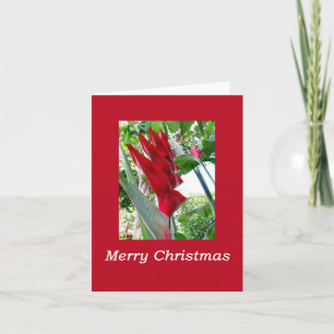 Hawaiaanse Kerstmis Kaart