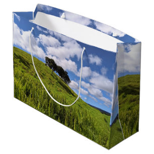 Hawaiaanse Natuur Landschap Foto  Groot Cadeauzakje