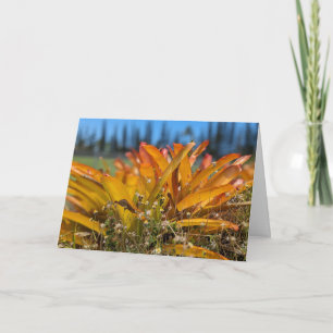 Hawaiaanse Natuurlijke Landschapsfotografie Bedankkaart