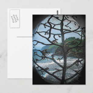 Hawaïaanse Ocean Beach Tree Foto Schijnwerper Briefkaart