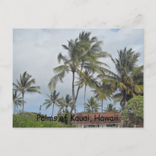 Hawaiaanse Palmbomen Briefkaart