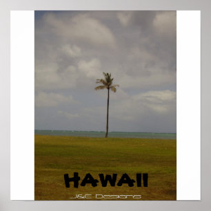 Hawaïaanse palmboom poster