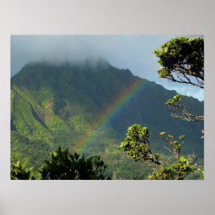 Hawaïaanse regenboog poster