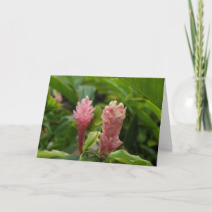 Hawaiaanse Roze Gember Bloem Foto Bedankkaart