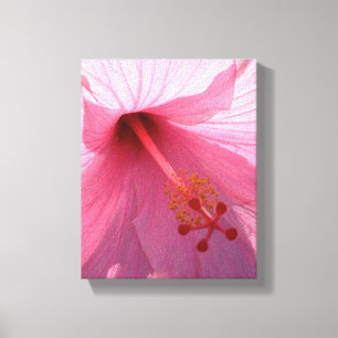 Hawaiaanse Roze Hibiscus Fijne Kunst Foto Canvas Afdruk