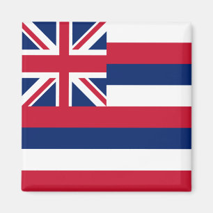 Hawaïaanse staatsvlag magneet