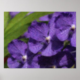 Hawaiaanse Tropische Orchidee Poster