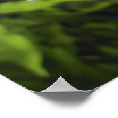 HAWAÏAN PAARSE ORCHID POSTER (Hoek)