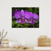 HAWAÏAN PAARSE ORCHID POSTER (Keuken)