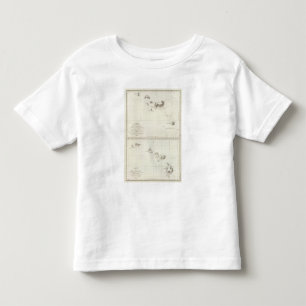 Hawaii 2 kinder shirts