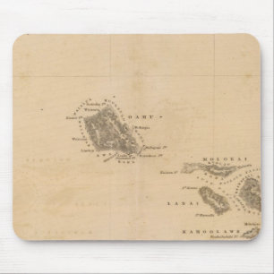 Hawaii 3 muismat