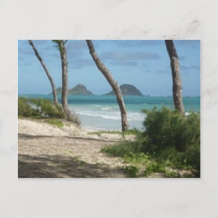 HAWAII ALOHA COLLECTIE BRIEFKAART