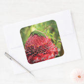 Hawaii Anole Lizard Red Tropical Flower Akaka Herf Vierkante Sticker (Envelop)