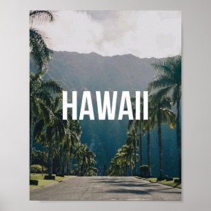 Hawaii Arbres Palmiers Tropicaux Art Mural Esthéti