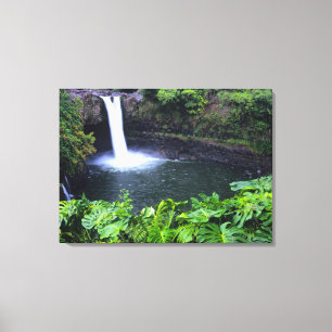 Hawaii, Big Island, Hilo, Rainbow Falls, Weelderig Canvas Afdruk